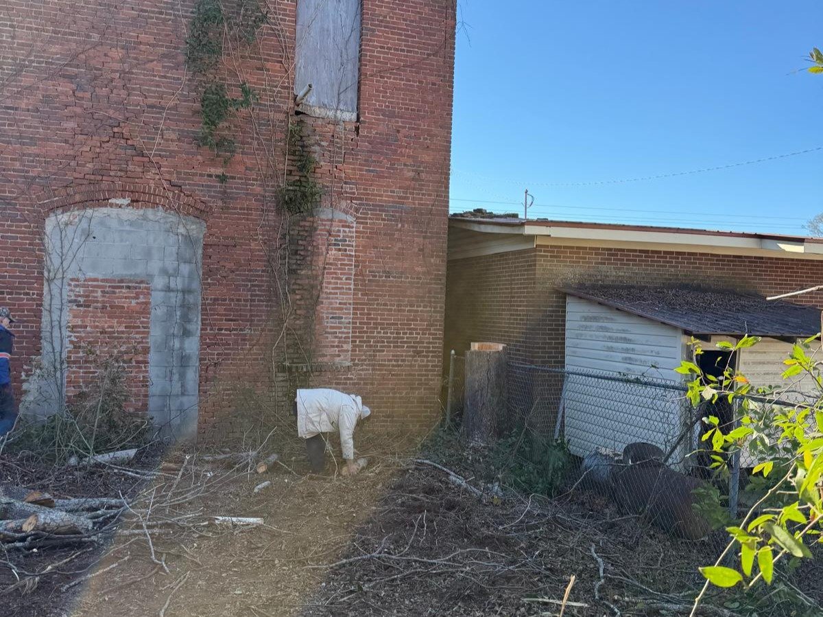 El Costeño Tree Service LLC